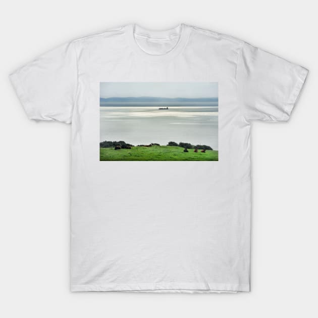 A ship moving along the Isle of Arran coast, Scotland T-Shirt by richflintphoto